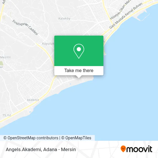 Angels.Akademi map