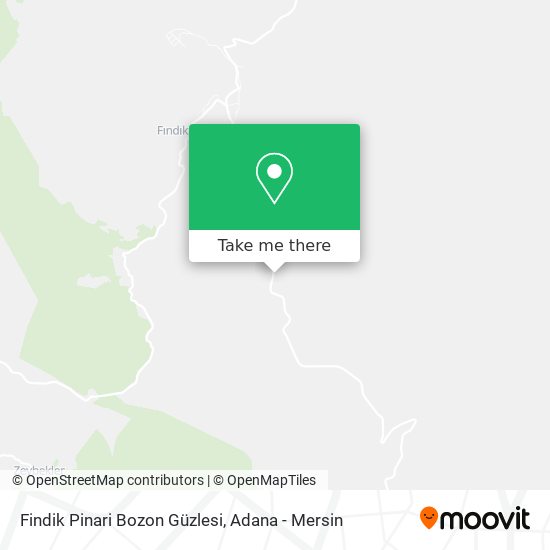 Findik Pinari Bozon Güzlesi map