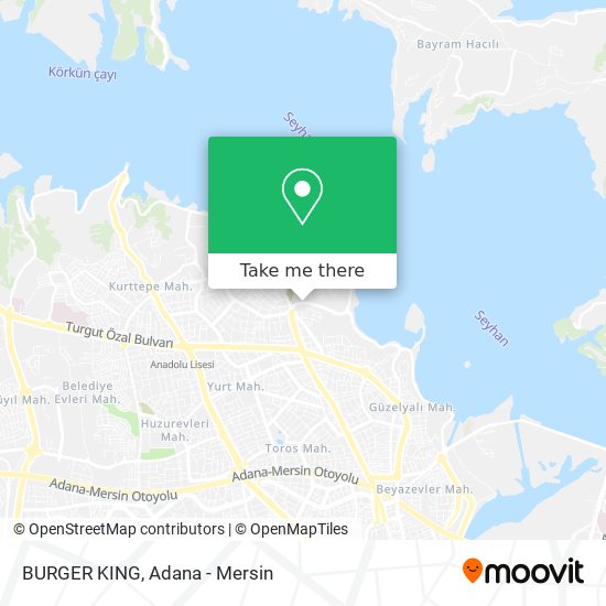 BURGER KING map