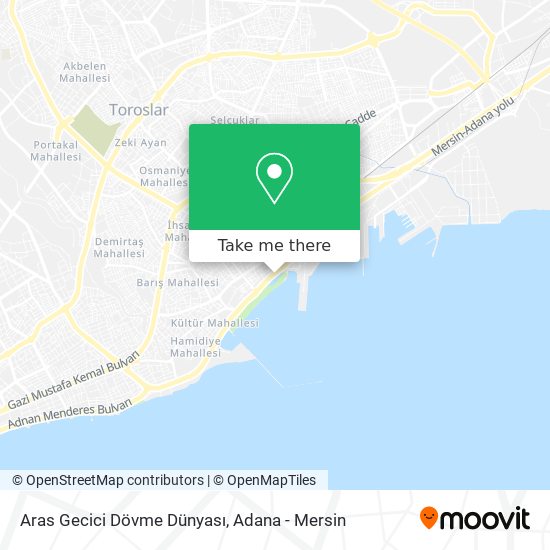 Aras Gecici Dövme Dünyası map