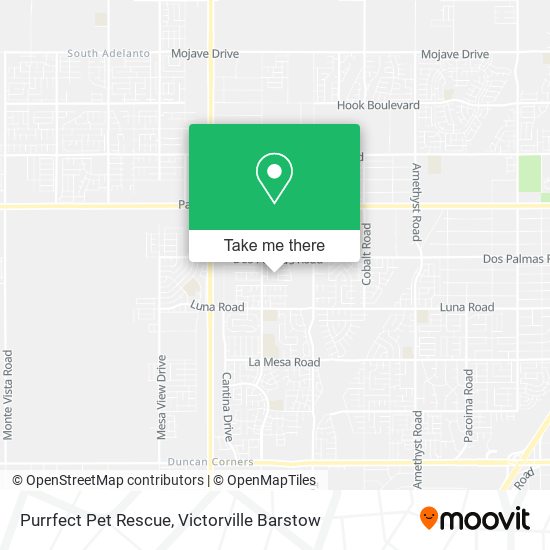 Purrfect Pet Rescue map