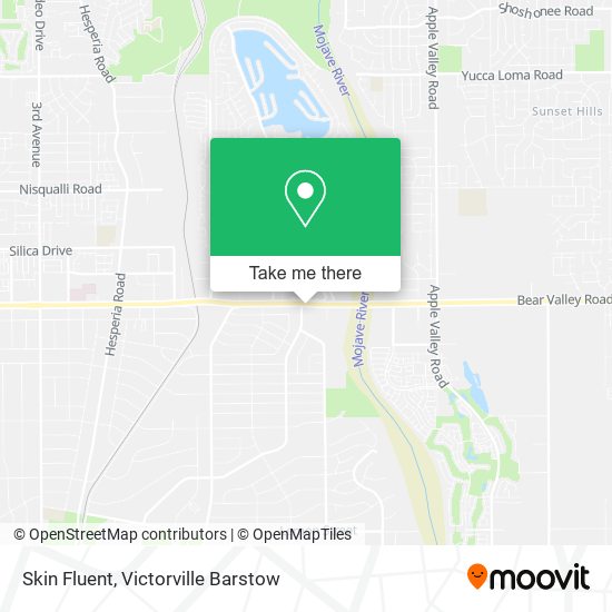 Skin Fluent map