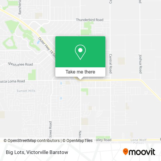 Big Lots map