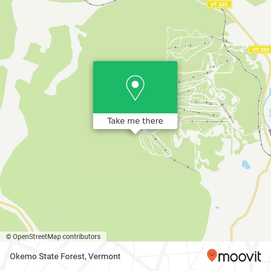 Okemo State Forest map