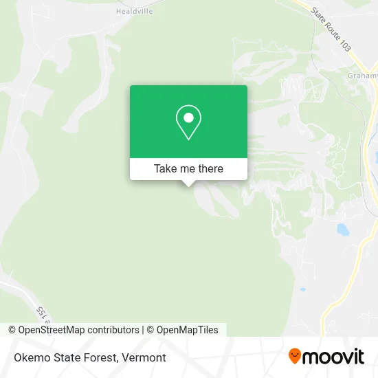 Okemo State Forest map