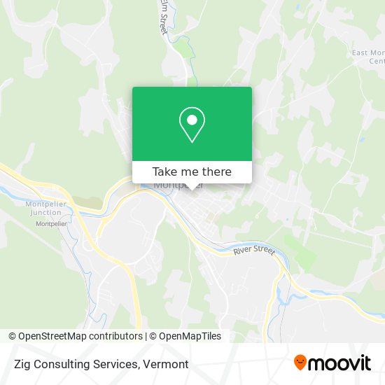 Zig Consulting Services map