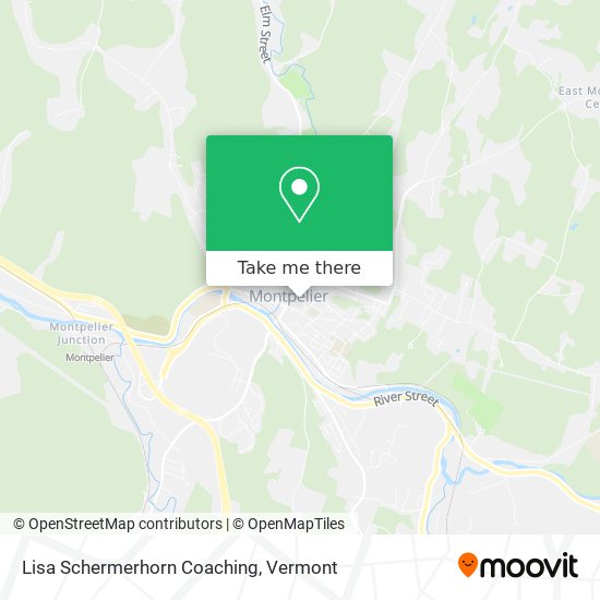 Lisa Schermerhorn Coaching map