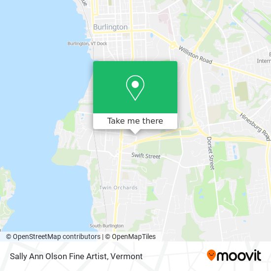 Mapa de Sally Ann Olson Fine Artist