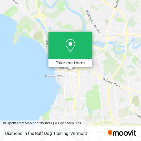 Diamond in the Ruff Dog Training map