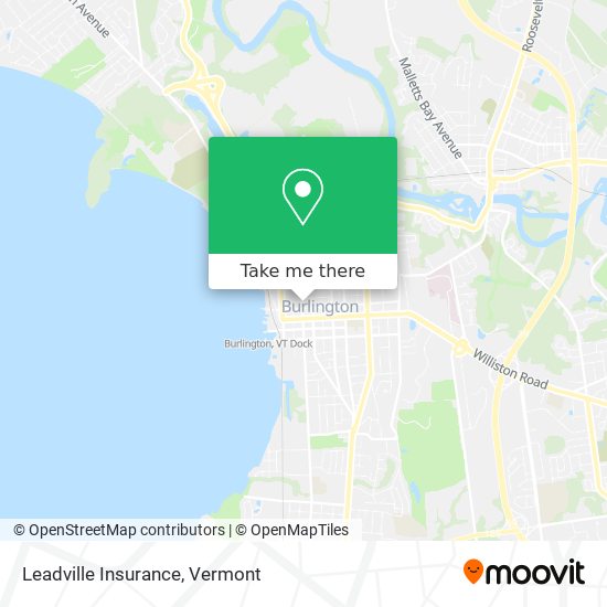 Leadville Insurance map