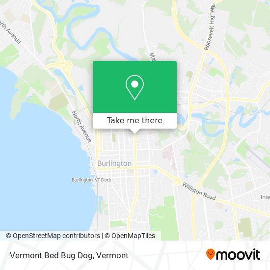 Mapa de Vermont Bed Bug Dog