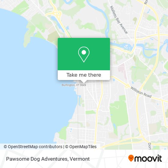 Pawsome Dog Adventures map