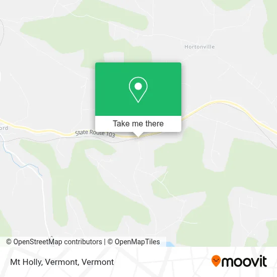 Mt Holly, Vermont map