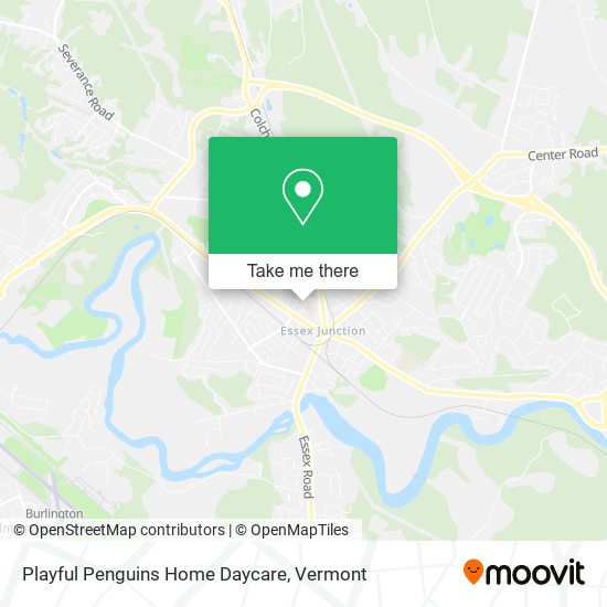 Playful Penguins Home Daycare map