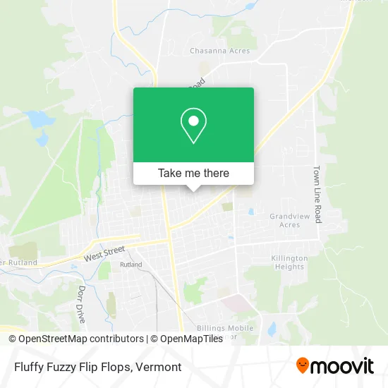 Fluffy Fuzzy Flip Flops map