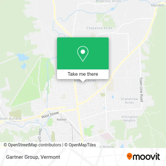 Gartner Group map