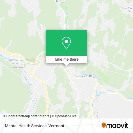 Mapa de Mental Health Services