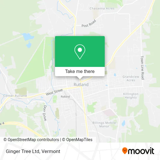 Ginger Tree Ltd map