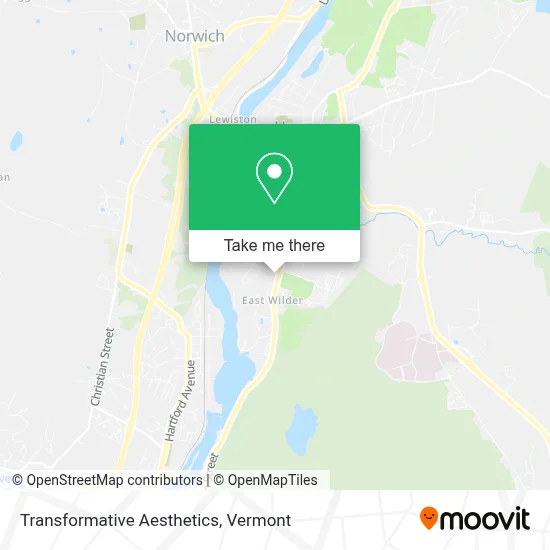 Transformative Aesthetics map