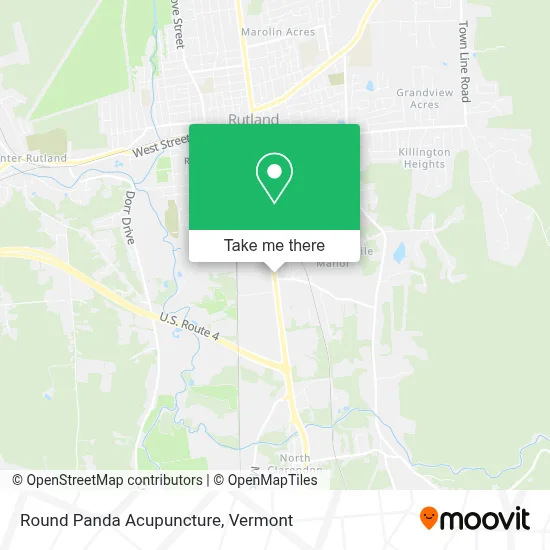 Round Panda Acupuncture map
