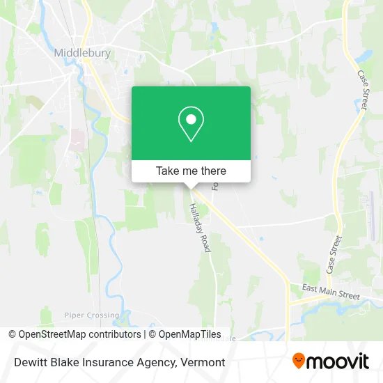 Dewitt Blake Insurance Agency map