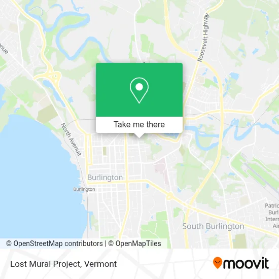 Lost Mural Project map