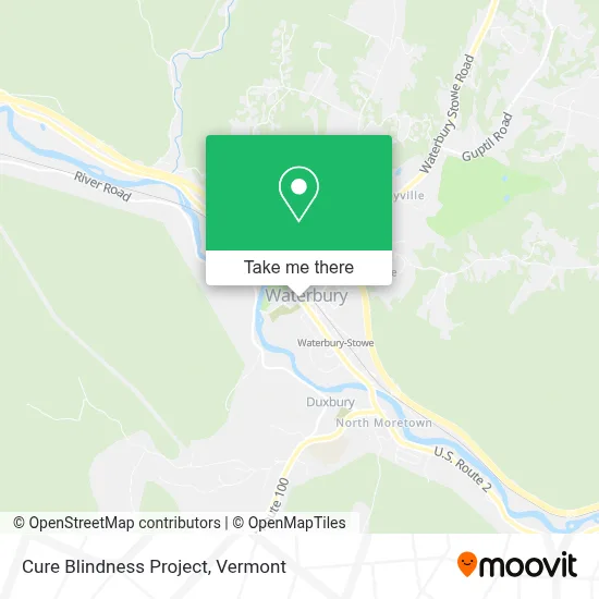 Cure Blindness Project map