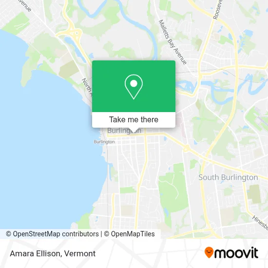 Amara Ellison map