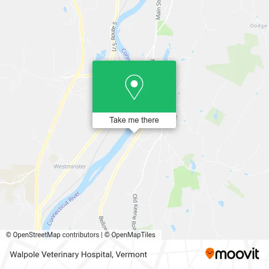 Walpole Veterinary Hospital map