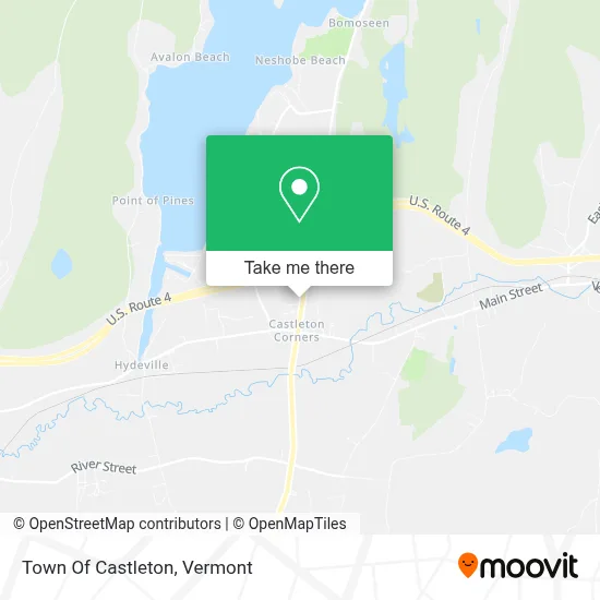 Town Of Castleton map