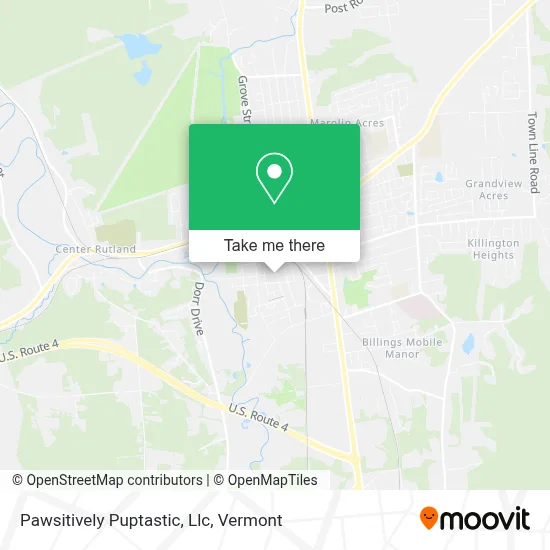 Pawsitively Puptastic, Llc map