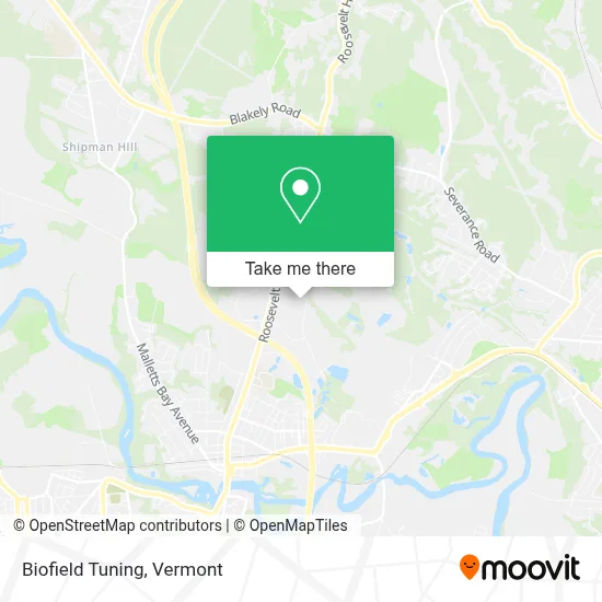 Biofield Tuning map