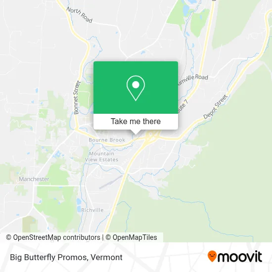 Big Butterfly Promos map