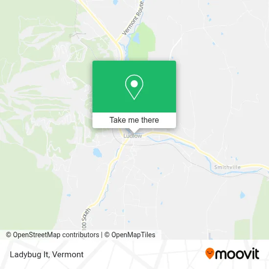 Ladybug It map