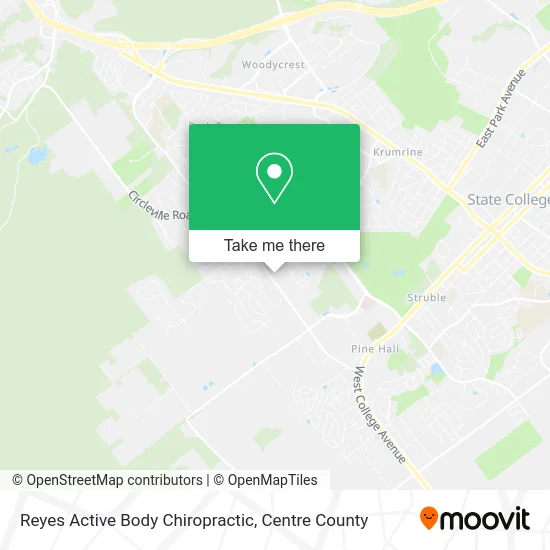 Reyes Active Body Chiropractic map