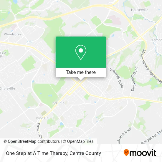 One Step at A Time Therapy map
