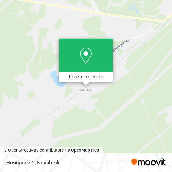 Ноябрьск 1 map