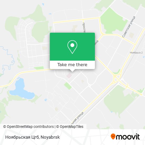 Ноябрьская Цгб map