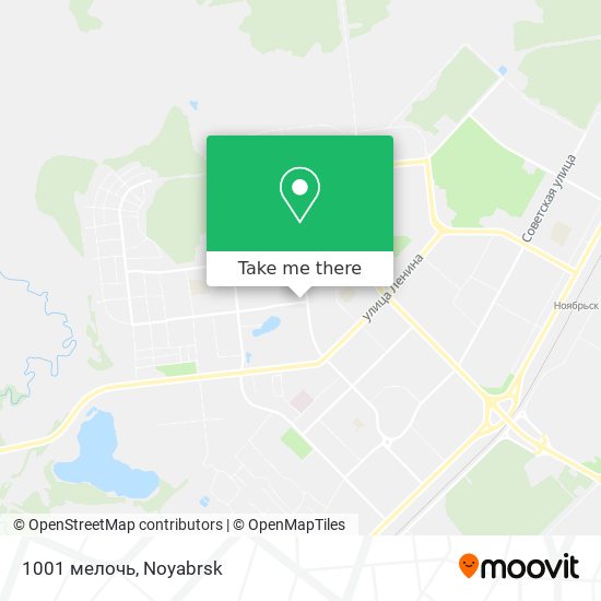 1001 мелочь map