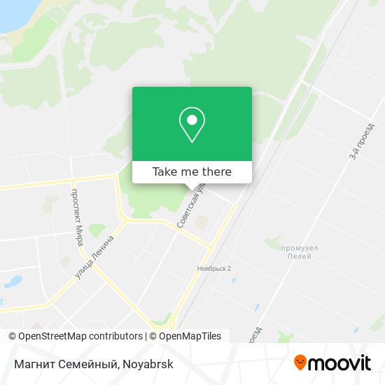 Магнит Семейный map