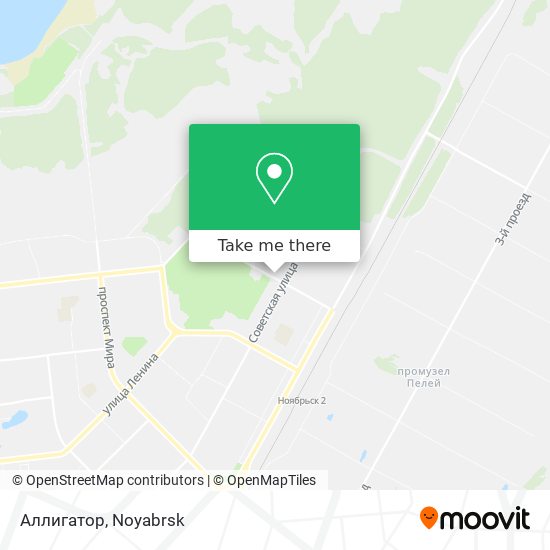 Аллигатор map