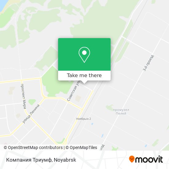 Компания Триумф map