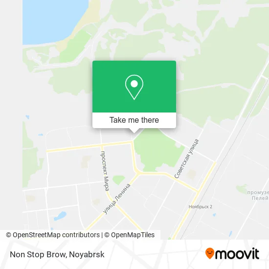 Non Stop Brow map