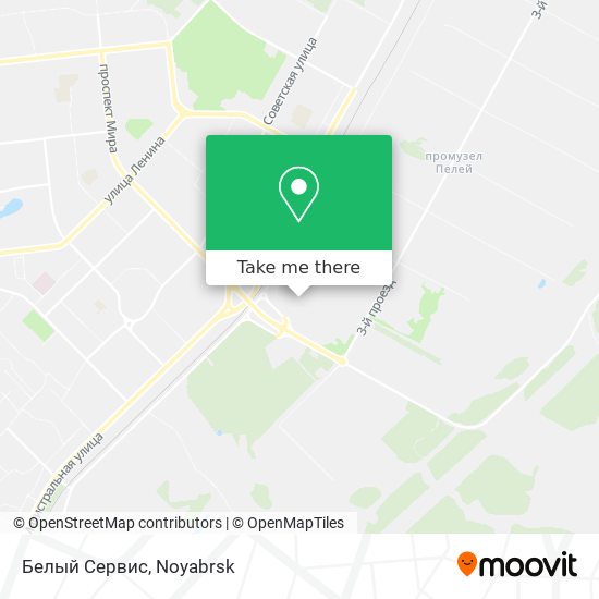 Белый Сервис map