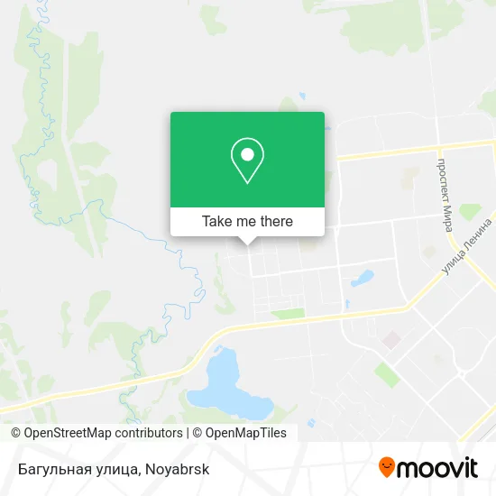 Багульная улица map
