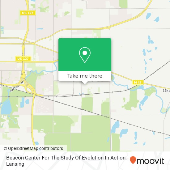Beacon Center For The Study Of Evolution In Action map