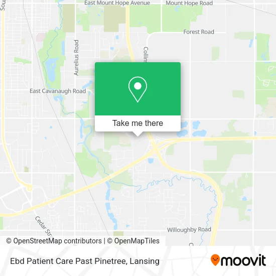 Mapa de Ebd Patient Care Past Pinetree