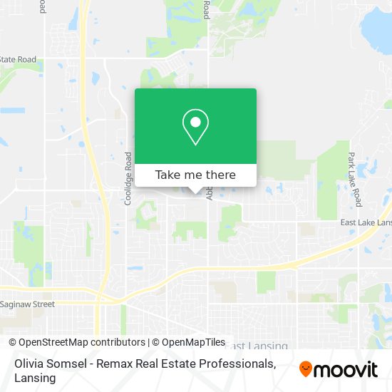 Olivia Somsel - Remax Real Estate Professionals map