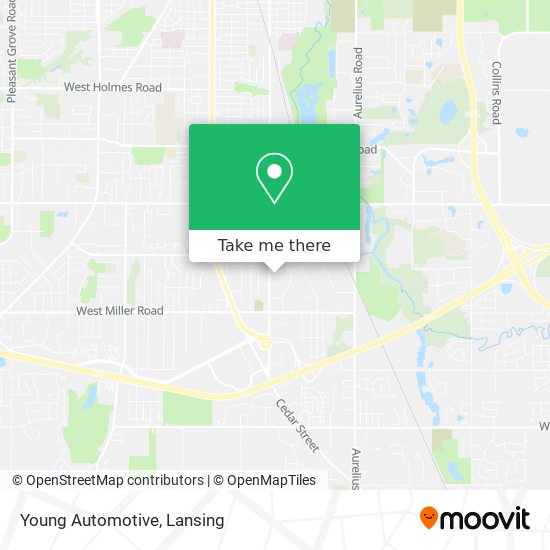 Young Automotive map