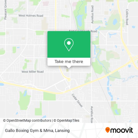 Mapa de Gallo Boxing Gym & Mma